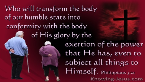 Philippians 3:21 He  Will Transform Our Lowly Body (pink)